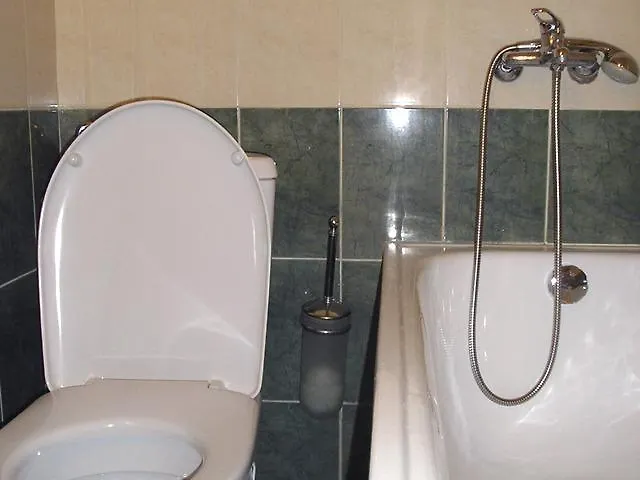 Guest house Lirik 3*